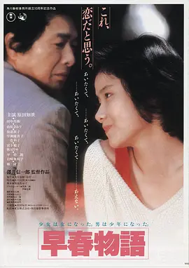 玫瑰的故事 电影海报